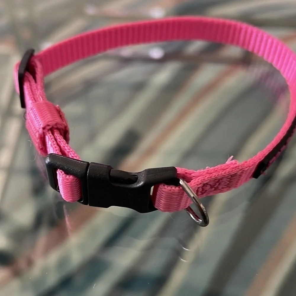 🆕TopPaw XS collar